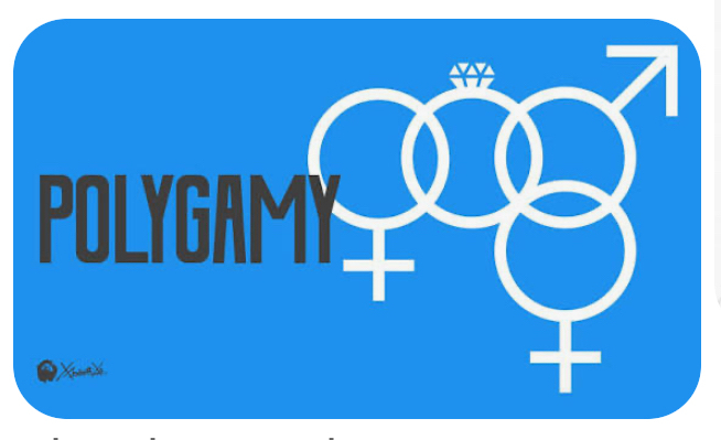 POLYGAMY 